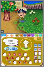 Animal Crossing: Wild World (DE)