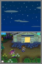 Animal Crossing: Wild World (DE)