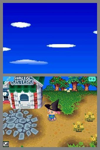 Animal Crossing: Wild World (DE)