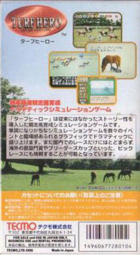 Turf Hero (JP)