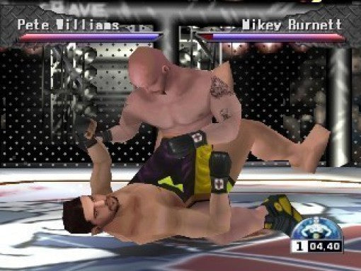Ultimate Fighting Championship
