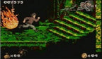 Pitfall: Die verlorene Expedition