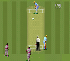 Super International Cricket