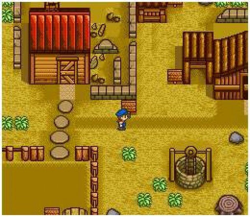 Harvest Moon
