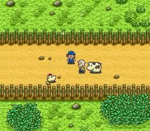 Harvest Moon