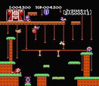 Donkey Kong Jr. (JP)