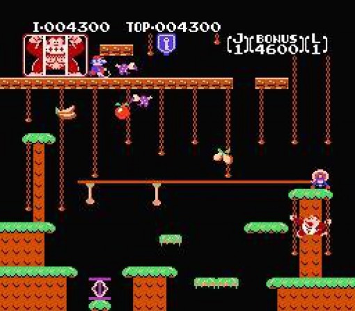 Donkey Kong Jr. (JP)