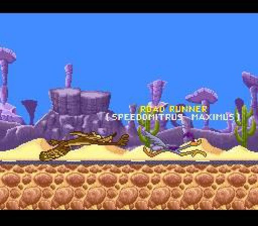 Looney Tunes: Road Runner vs. Wile E. Coyote (JP)