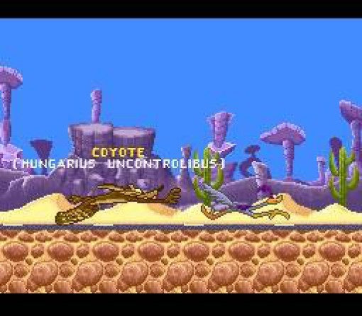 Looney Tunes: Road Runner vs. Wile E. Coyote (JP)