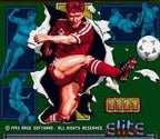 World Soccer (JP)