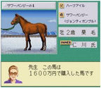 Jikkyou Keiba Simulation: Stable Star (JP)