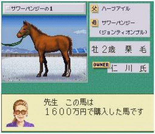 Jikkyou Keiba Simulation: Stable Star (JP)