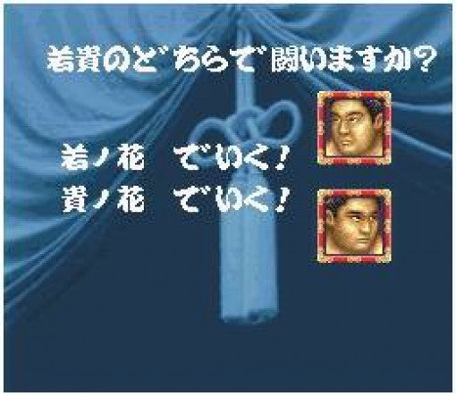 Wakataka Oozumou: Yume no Kyoudai Taiketsu (JP)