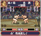 Wakataka Oozumou: Yume no Kyoudai Taiketsu (JP)