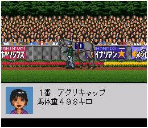 Derby Stallion 96 (JP)