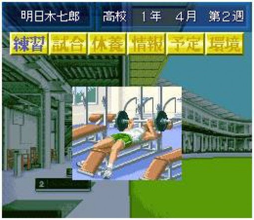 Best Shot Pro Golf (JP)