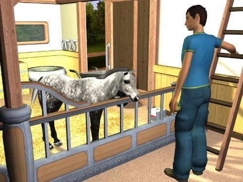 3 in 1: Mein Pferd + Mein Gestüt + Ein Leben für die Pferde