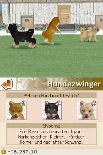 Nintendogs: Chihuahua & Friends