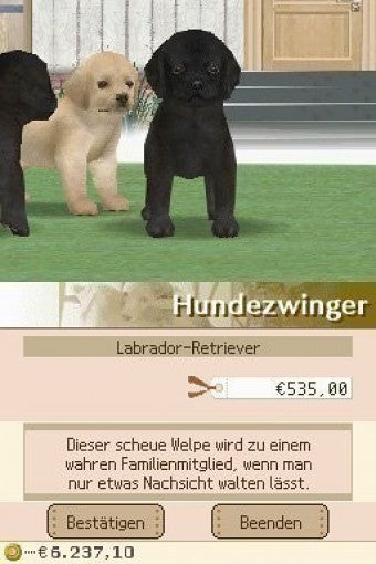 Nintendogs: Chihuahua & Friends