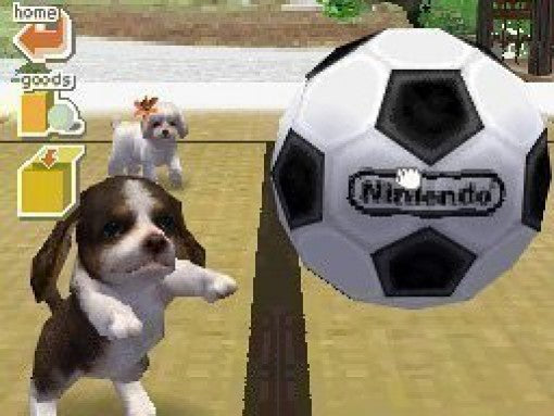 Nintendogs: Chihuahua & Friends
