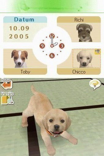Nintendogs: Chihuahua & Friends