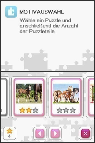 Puzzle: Pferdefreunde