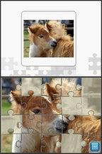 Puzzle: Pferdefreunde