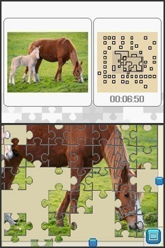 Puzzle: Pferdefreunde
