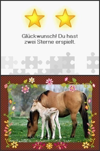 Puzzle: Pferdefreunde