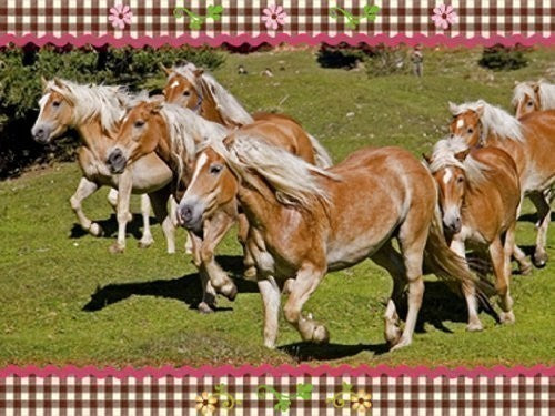 Puzzle: Pferdefreunde