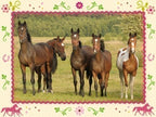 Puzzle: Pferdefreunde