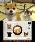 Ein Shiba Inu und eine Katze sind in einer Szene aus Nintendogs + Cats: Golden Retriever & Neue Freunde zu sehen.