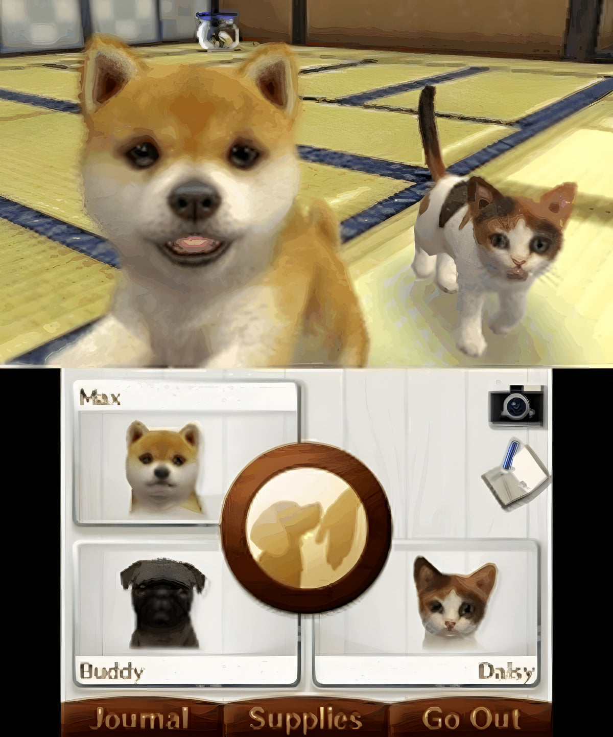 Ein Shiba Inu und eine Katze sind in einer Szene aus Nintendogs + Cats: Golden Retriever & Neue Freunde zu sehen.