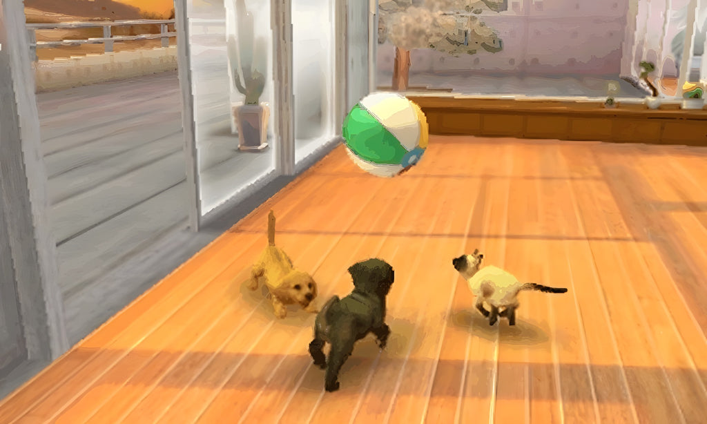 Zwei Hunde und eine Katze spielen in Nintendogs + Cats: Golden Retriever & Neue Freunde mit einem Ball.