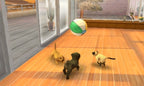 Zwei Hunde und eine Katze spielen in Nintendogs + Cats: Golden Retriever & Neue Freunde mit einem Ball.