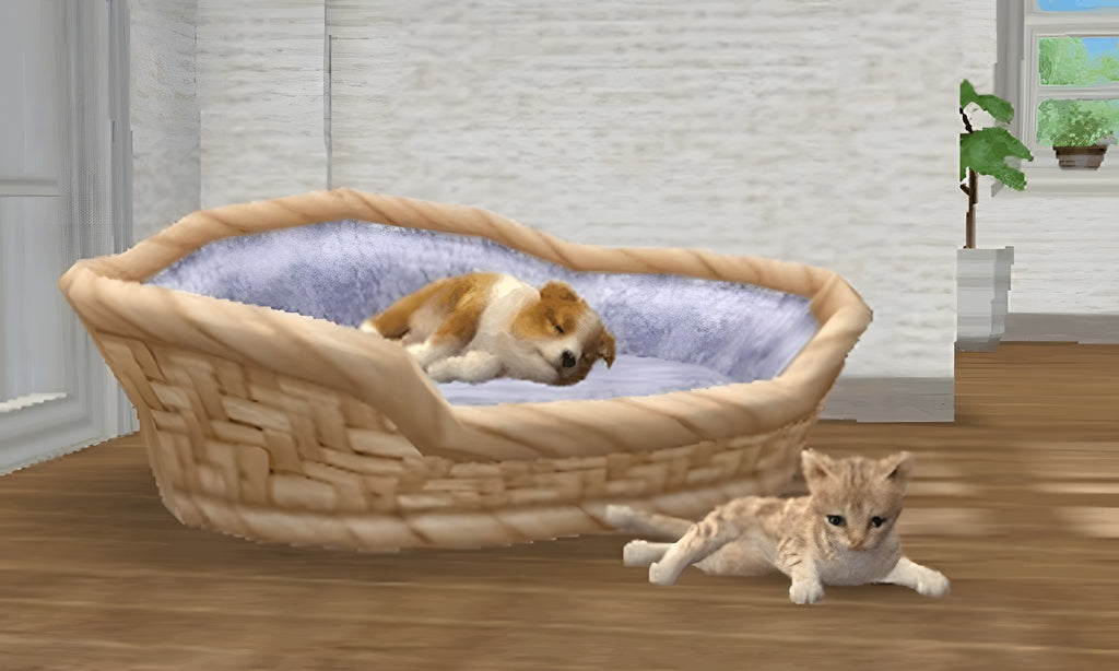 Ein schlafender Hund und eine Katze sind in Nintendogs + Cats: Golden Retriever & Neue Freunde zu sehen.