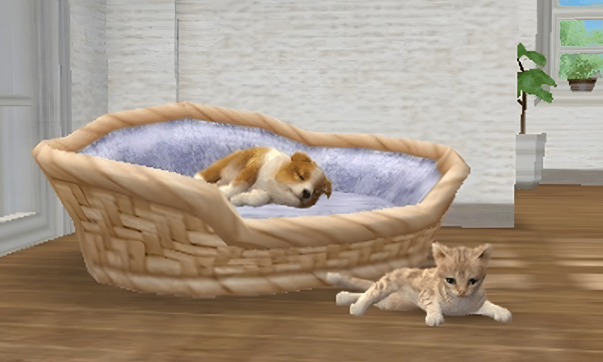 Ein schlafender Hund und eine Katze sind in Nintendogs + Cats: Golden Retriever & Neue Freunde zu sehen.