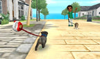 Ein Spaziergang mit einem Hund an der Leine in Nintendogs + Cats: Golden Retriever & Neue Freunde.