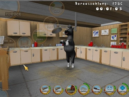 101 Pony Pets