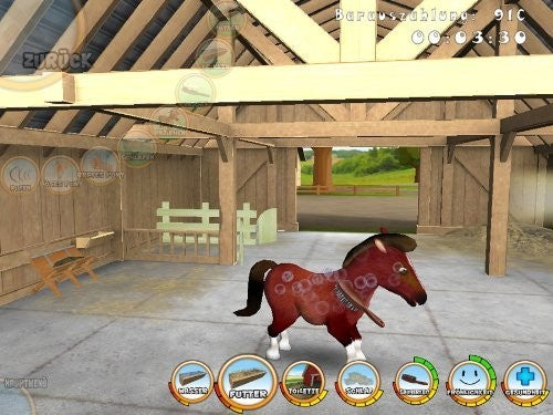 101 Pony Pets