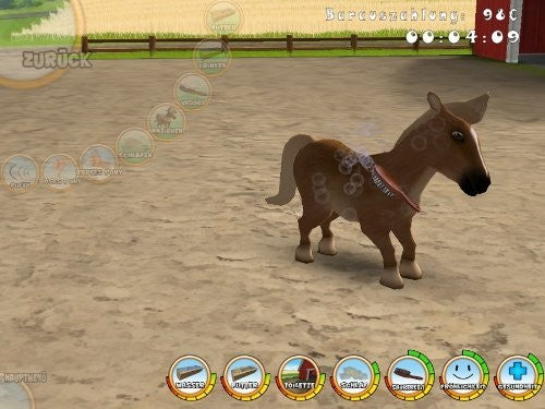 101 Pony Pets
