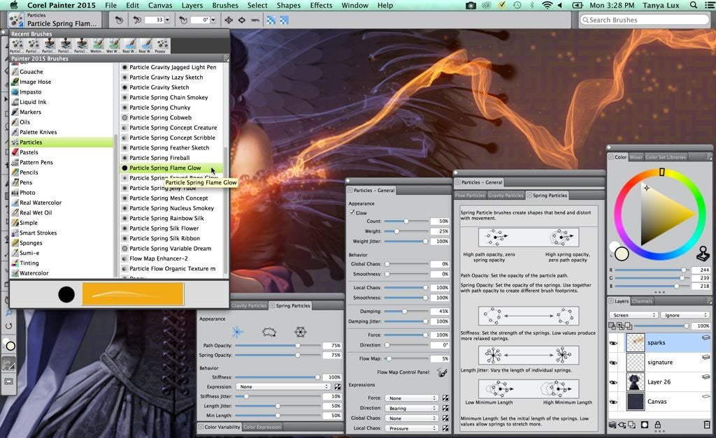 Corel Painter 2015 für Mac OS/Win OS