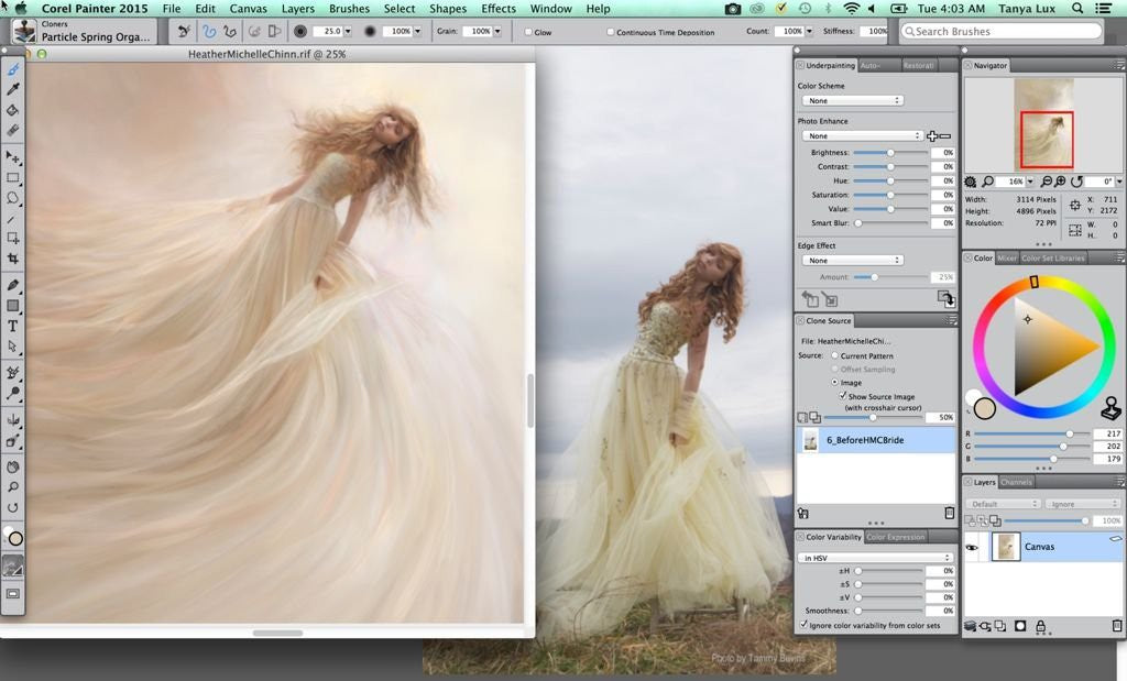 Corel Painter 2015 für Mac OS/Win OS