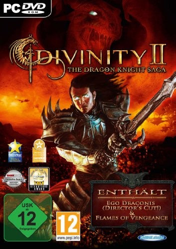 Divinity 2: The Dragon Knight Saga