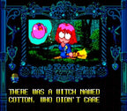 Cotton: Fantastic Night Dreams (JP)