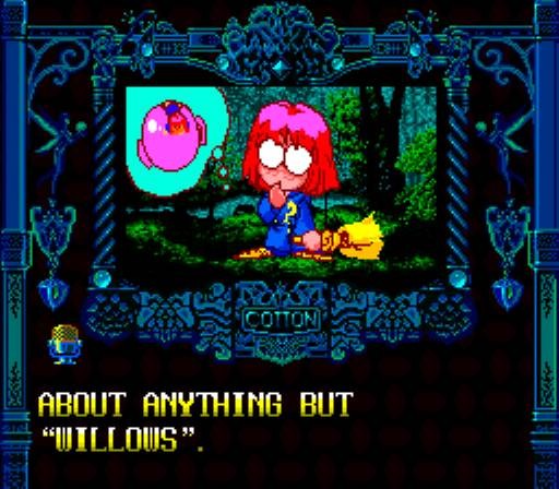 Cotton: Fantastic Night Dreams (JP)