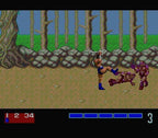 Golden Axe (JP)