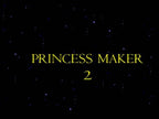 Princess Maker 2 (JP)