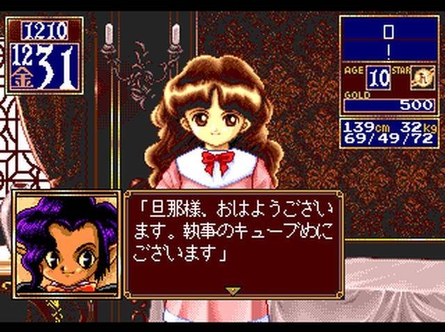 Princess Maker 2 (JP)