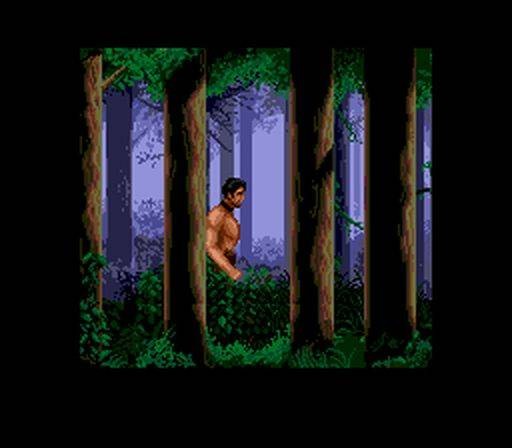 Sorcerian (JP)